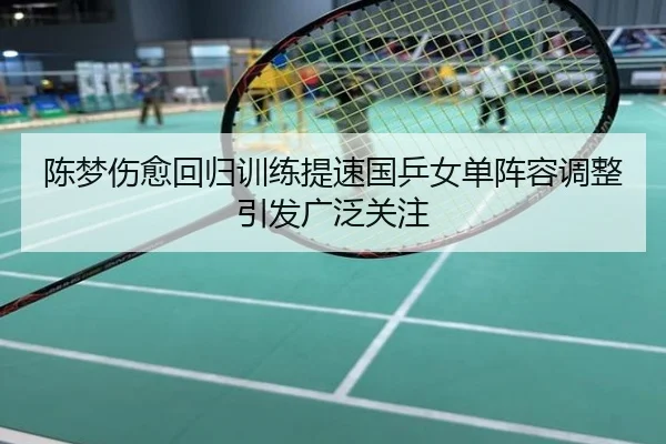 陈梦伤愈回归训练提速国乒女单阵容调整引发广泛关注